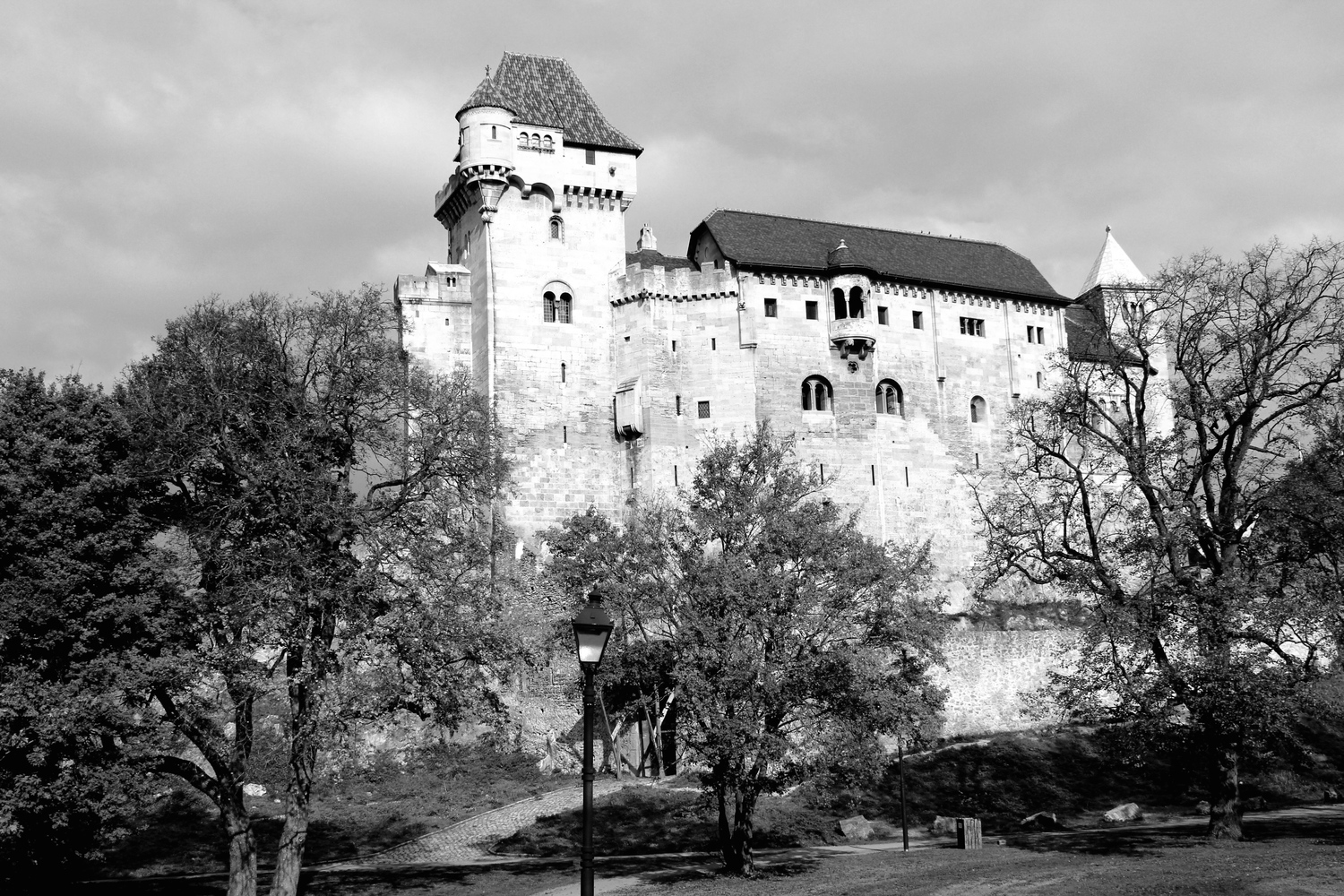 венский лес 